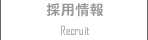 �̗p���