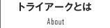 トライアークとは